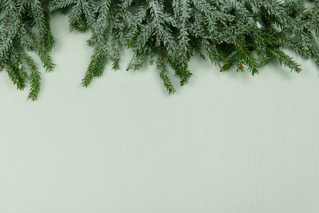 白色木质背景上的云杉树枝。实体模型