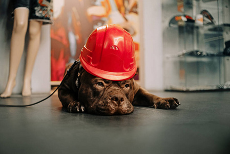 戴安全帽的人物图片大全