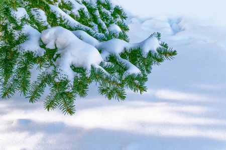  Frozen winter forest with snow covered trees.