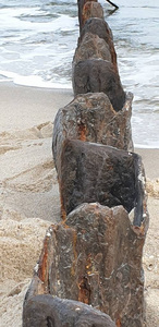 木材 海岸 保护 暴风雨 波罗的海 波浪