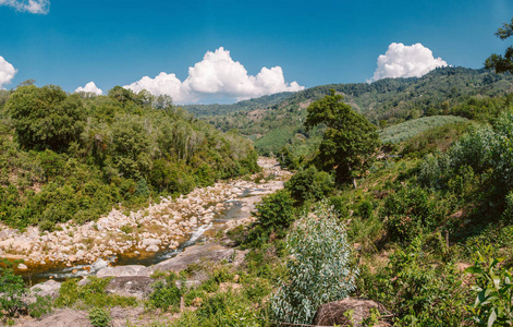 小山 美丽的 公园 森林 蛇纹石 假期 旅行 徒步旅行 越南