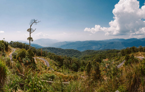 岩石 山谷 旅行 蛇纹石 假期 天空 公园 亚洲 自然 小山