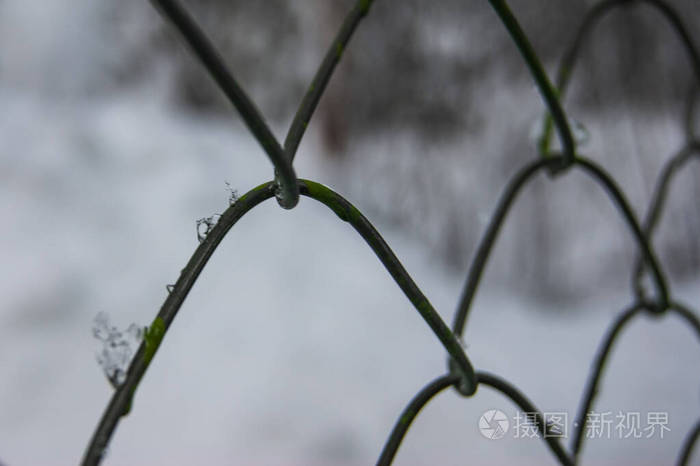 冬天用铁丝网围起来。菱形钢图案。