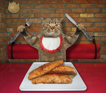猫在餐馆吃烤鱼图片