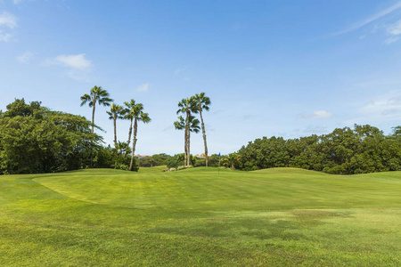 乡村 目的地 外部 课程 夏天 房子 草坪 建筑学 风景