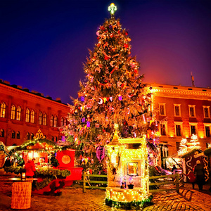 欧洲圣诞集市广场新里加拉脱维亚
