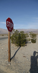   death valley  park the beauty of nature 