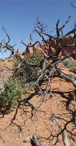   USA inside the arches national  park  