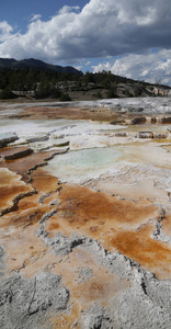  yellowstone national park the nature  