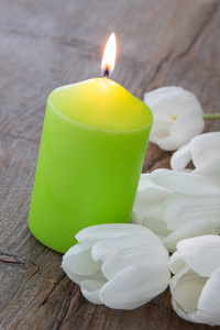 复活节花儿复活节装饰以白色郁金香为背景的绿色蜡烛照片