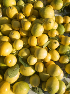 柠檬 甜的 素食主义者 甜点 自然 柑橘 饮食 健康 维生素