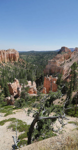  bryce   national  park the beauty of nature  