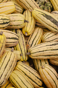 A pile of delicata squash on display at farmers market 