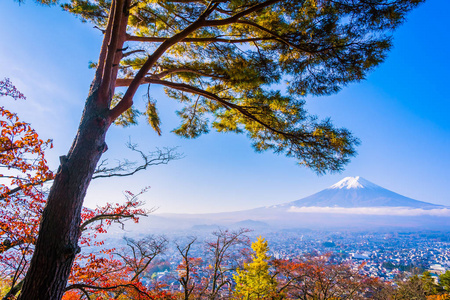 富士山风景秀丽，周围有朱丽托塔