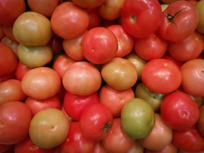 番茄 营养 花园 自然 农业 西红柿 蔬菜 素食主义者 美味的