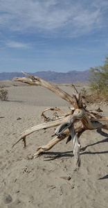   death valley  park the beauty of nature 