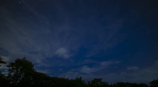 夜晚静冈森林里繁星点点的天空