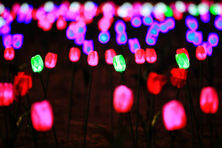 Chinese festive lantern 