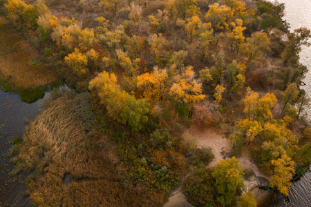 十月 风景 森林 第聂伯 无人机 自然 落下 冒险 秋天
