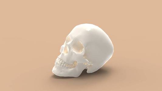 彩色背景下人体颅骨的三维绘制