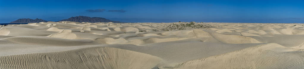 墨西哥南部沙漠沙丘的巴伊亚马格达莱纳下加利福尼亚