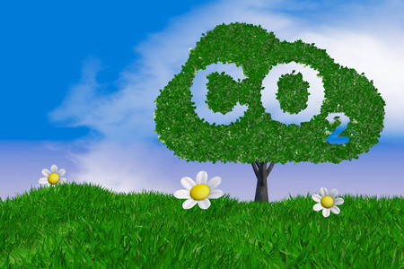 刻有CO2字样的树
