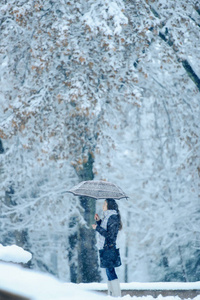 装备 圣诞节 可爱的 时尚 快乐 摆姿势 自然 假期 降雪