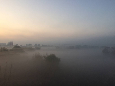 早晨 日出 森林 反射 天空 夏天 黄昏 黎明 太阳 薄雾