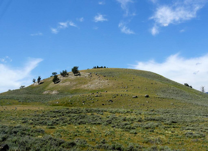 Medium close up of a gently sloping hill with a few small trees 