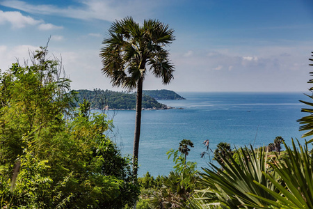 旅游业 海湾 旅行 自然 海滩 海岸 海景 夏天 假期 假日