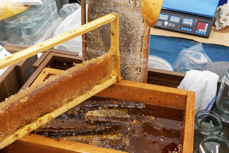 蜂窝片。蜂产品，有机天然成分。把新鲜蜂蜜放在蜂巢上。健康食品理念。黄色蜂窝片特写