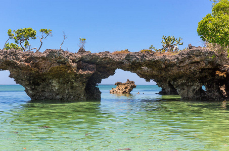 阳光明媚的岩石海岸