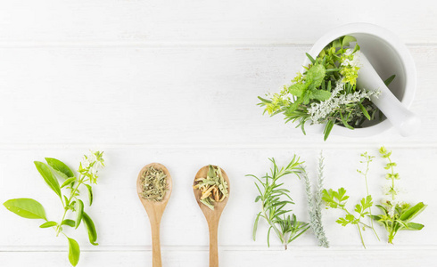 Medicinal Herbs on white background. Top view. Copy Space. 