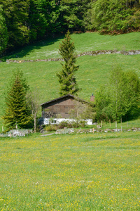 威斯康辛州恩格尔堡传统小屋的乡村景观