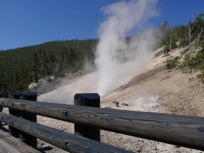 View of steam rising from geysers along the road at Yellowstone 