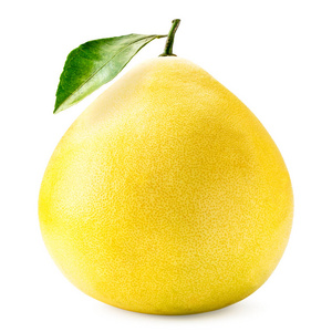 白底荷叶成熟柚子.孤立的照片