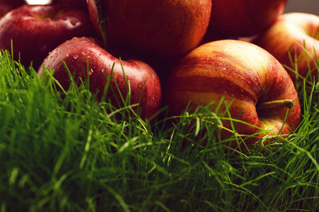 草地上落下的新鲜红苹果。