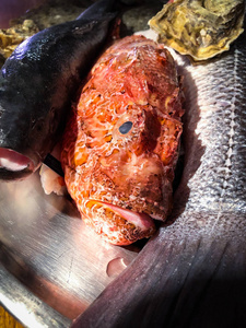 市场 地中海 行业 甲壳类动物 柑橘 贝类 牡蛎 销售 饮食