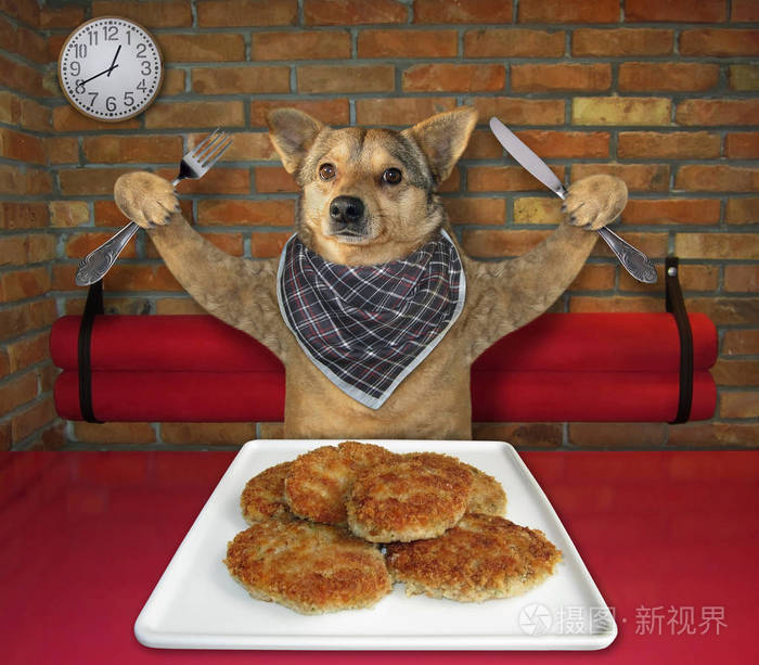 狗在餐馆吃油炸肉排