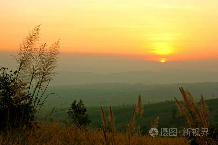 有山的草地上的日出景色