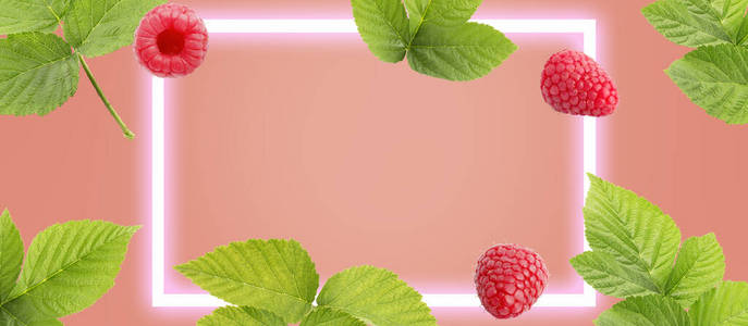 新鲜水果顶视图网站的食品横幅图片