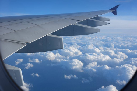 地平线 云景 自由 高的 旅游业 飞机 航班 窗口 气氛