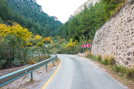 全景 公路 沥青 美女 国家 旅行 公园 季节 运输 开车