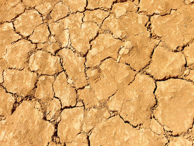 自然 生态学 黏土 灾难 地形 污垢 夏天 干旱 分裂 纹理