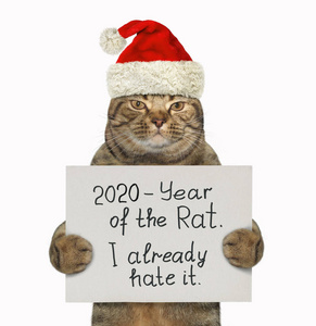 戴红帽子的猫讨厌老鼠年图片