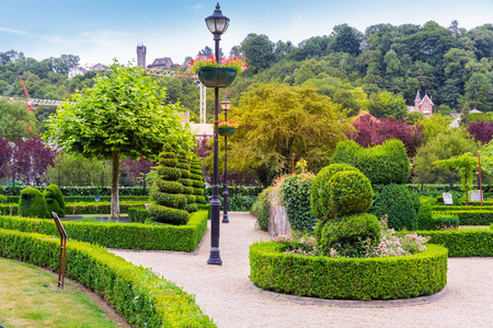 绿色植物 风景 形式 艺术 花的 花园 灌木丛 雕塑 夏天