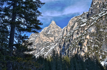 伍兹 美丽的 自然 天空 森林 阿尔卑斯山 岩石 高的 场景