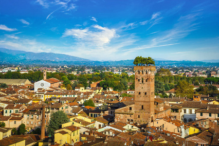Lucca panoramic aerial view of city and Guinigi tower. Tuscany, 