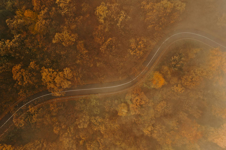 运输 道路 木材 旅行 森林 自然 场景 欧洲 日落 路线