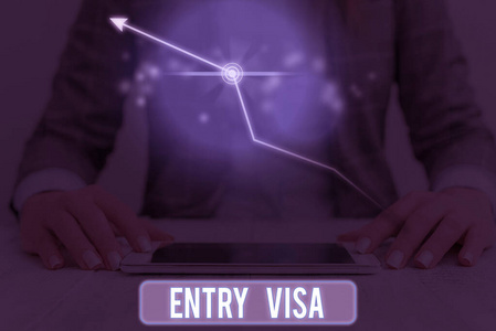 显示入境签证的概念性手写体。商业照片文本许可进入一个你不是国民的国家。